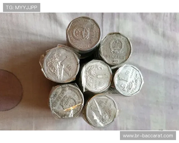 《硬币游戏终极对决 谁能赢得最后一枚硬币的荣耀》